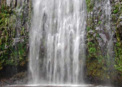 Materuni Waterfall Day Trip with Coffee Experience