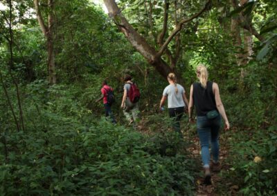 Rau Forest Nature Walking Day Trip