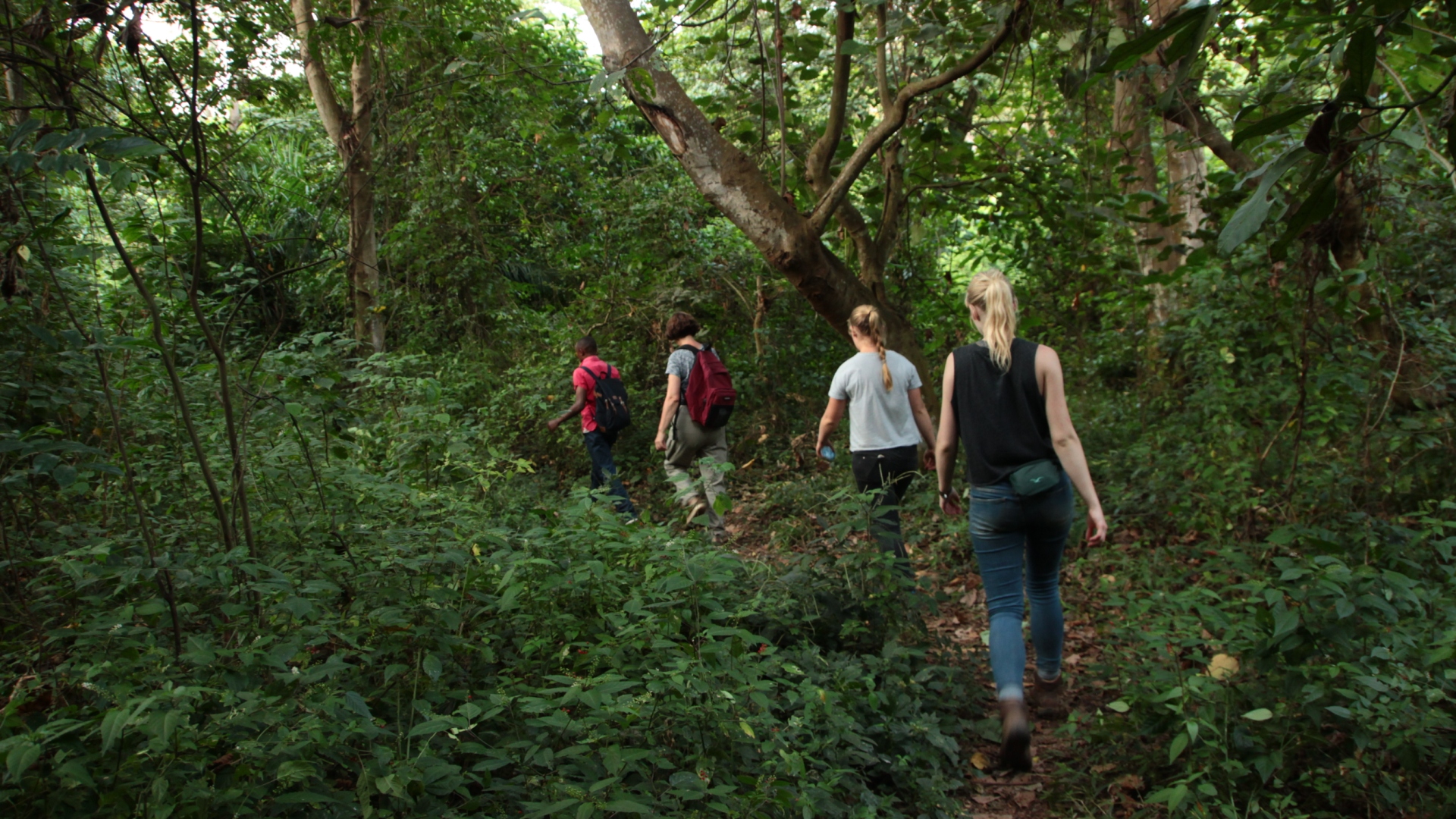 Rau Forest Nature Walk