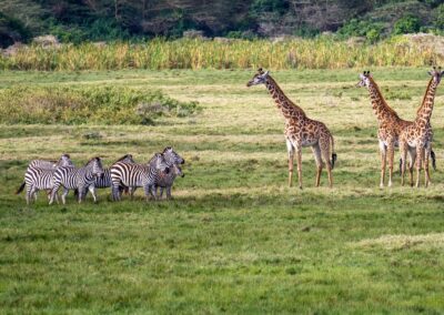 Homestay Experience in Monduli Arusha, Tanzania